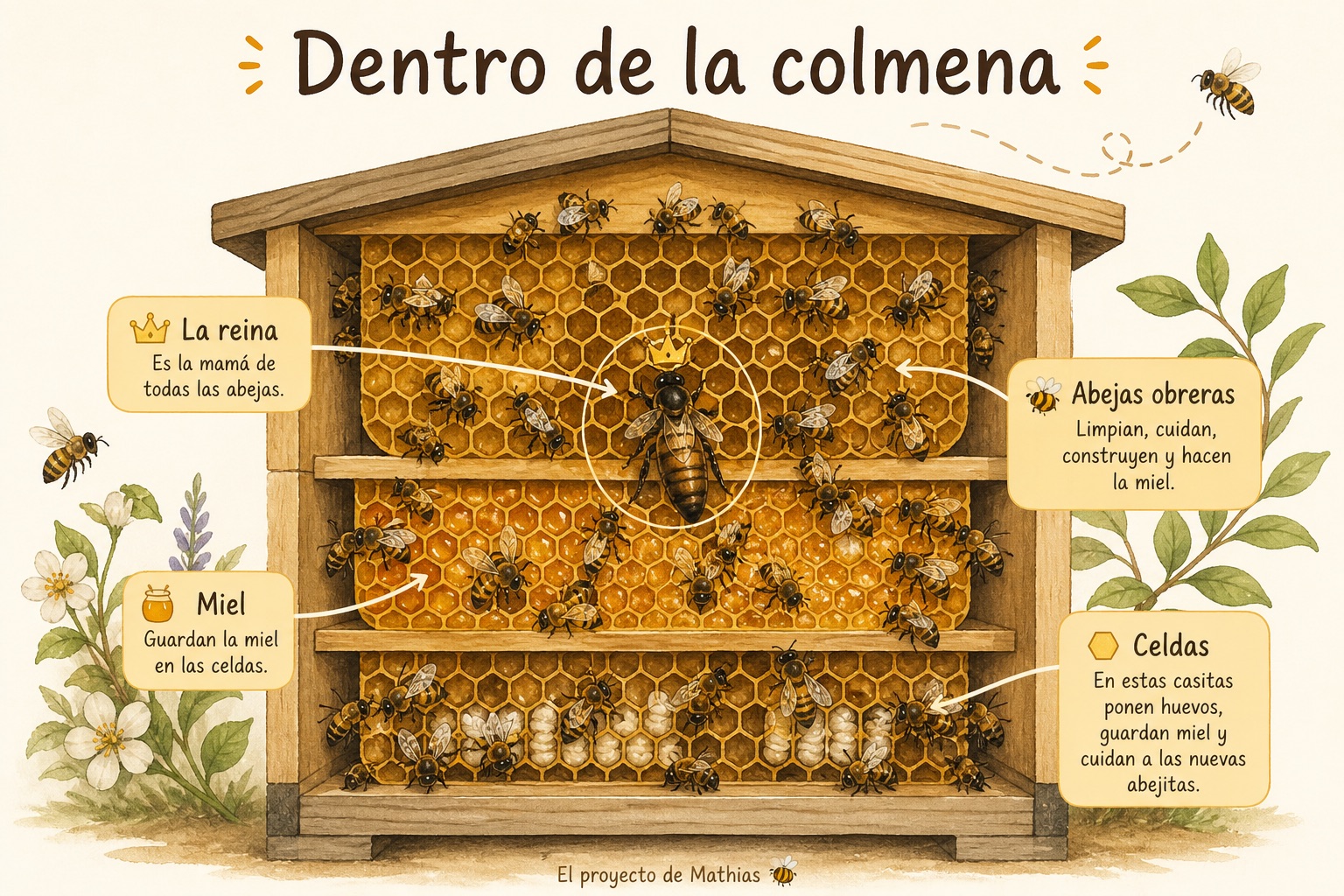 Ilustración: dentro de la colmena, con la reina, las obreras y las celdas.