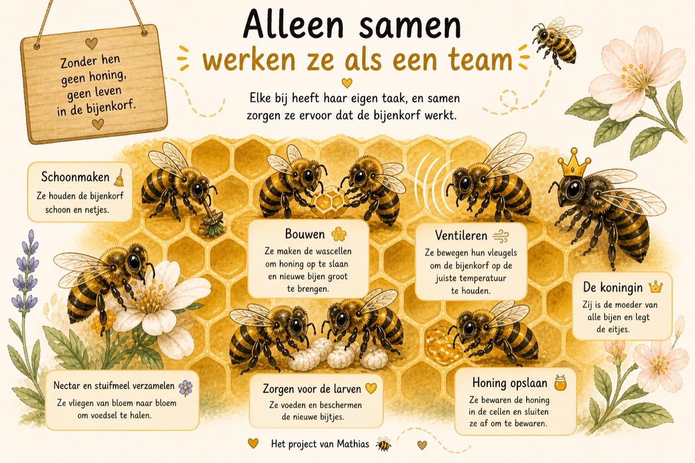 Illustratie: de bijen werken samen als team — schoonmaken, bouwen, ventileren, voor de broed zorgen, nectar verzamelen, honing bewaren, en de koningin die eitjes legt.