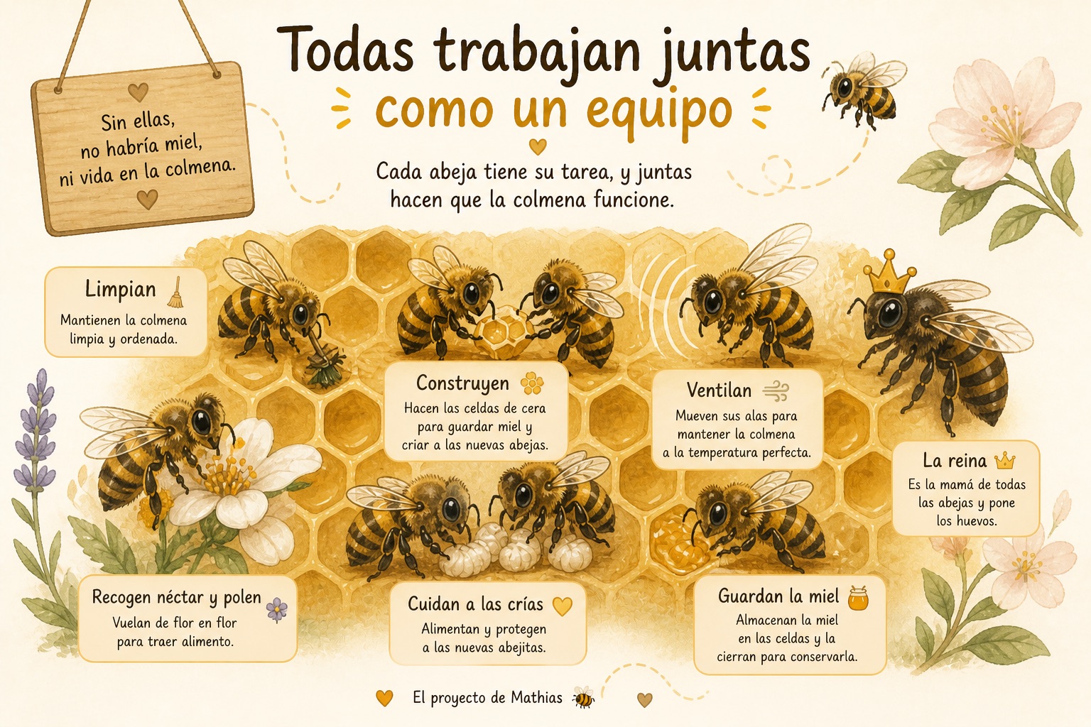 Ilustración: las abejas trabajando en equipo — limpian, construyen, ventilan, cuidan crías, recogen néctar, guardan miel, y la reina pone huevos.