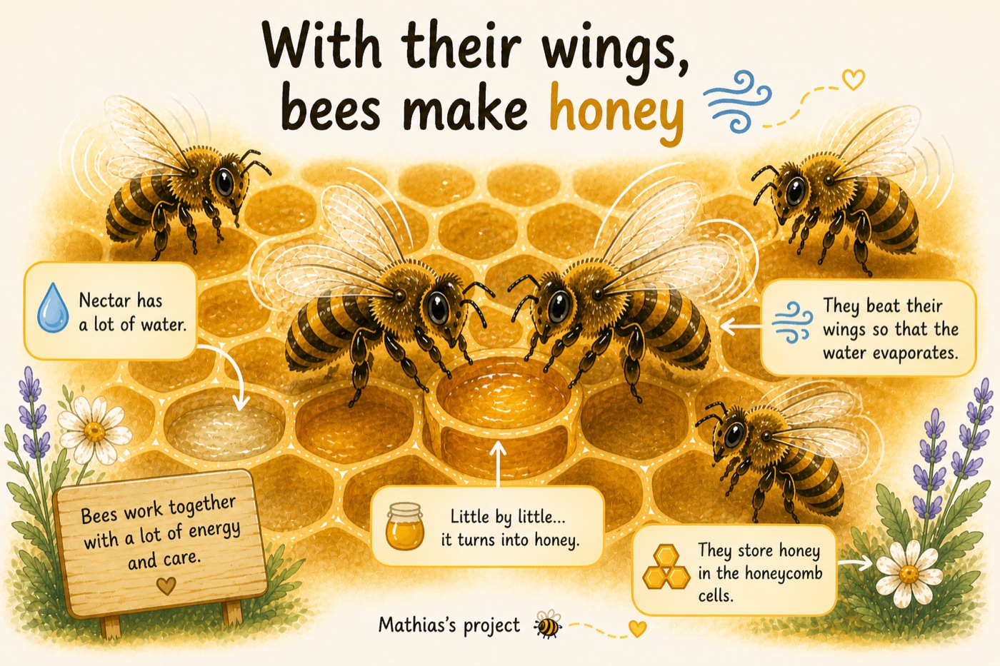 Illustration: bees fanning their wings to evaporate the water from the nectar and turn it into honey.
