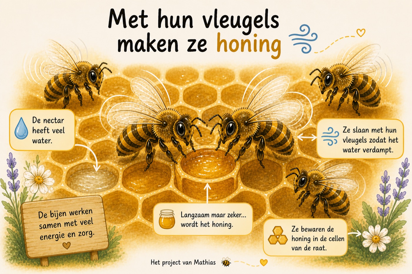 Illustratie: bijen wapperen met hun vleugels om het water uit de nectar te laten verdampen en het in honing te veranderen.