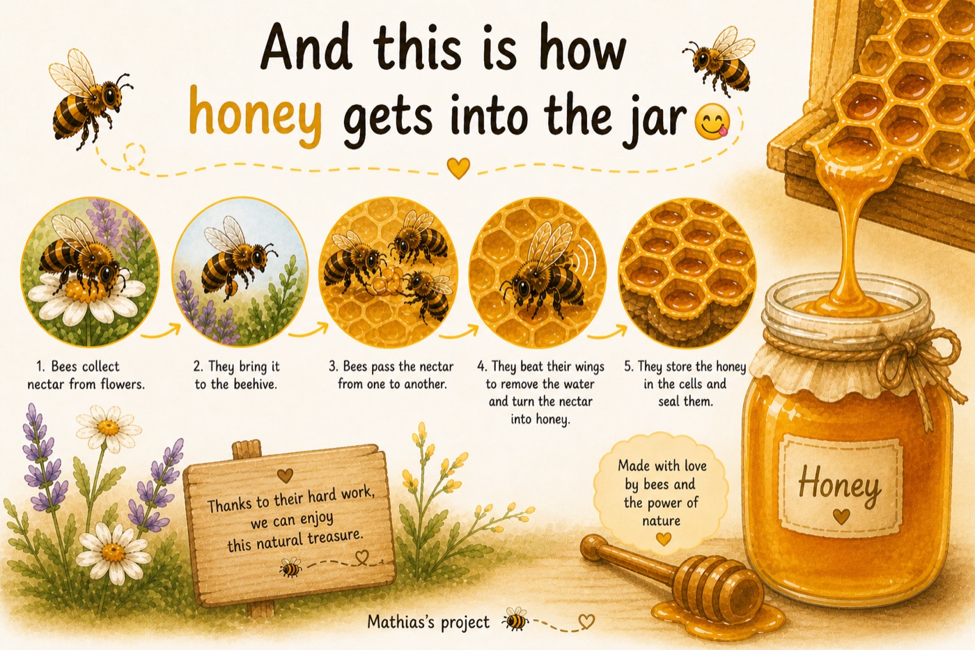 Illustration: the journey of honey, from a flower in the field to a jar on the table.
