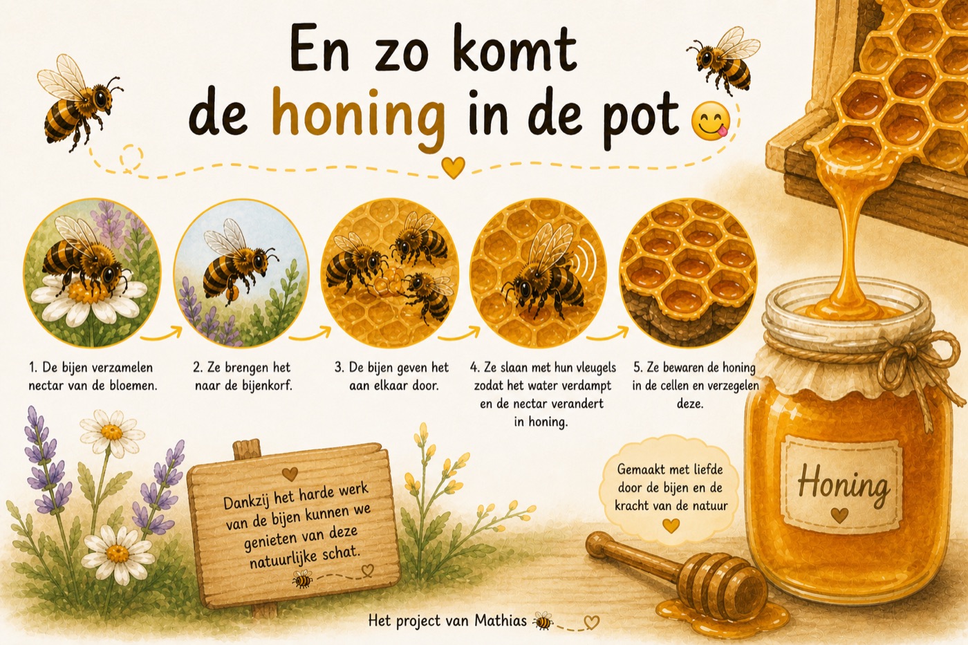 Illustratie: de reis van de honing, van een bloem in het veld tot een potje op tafel.